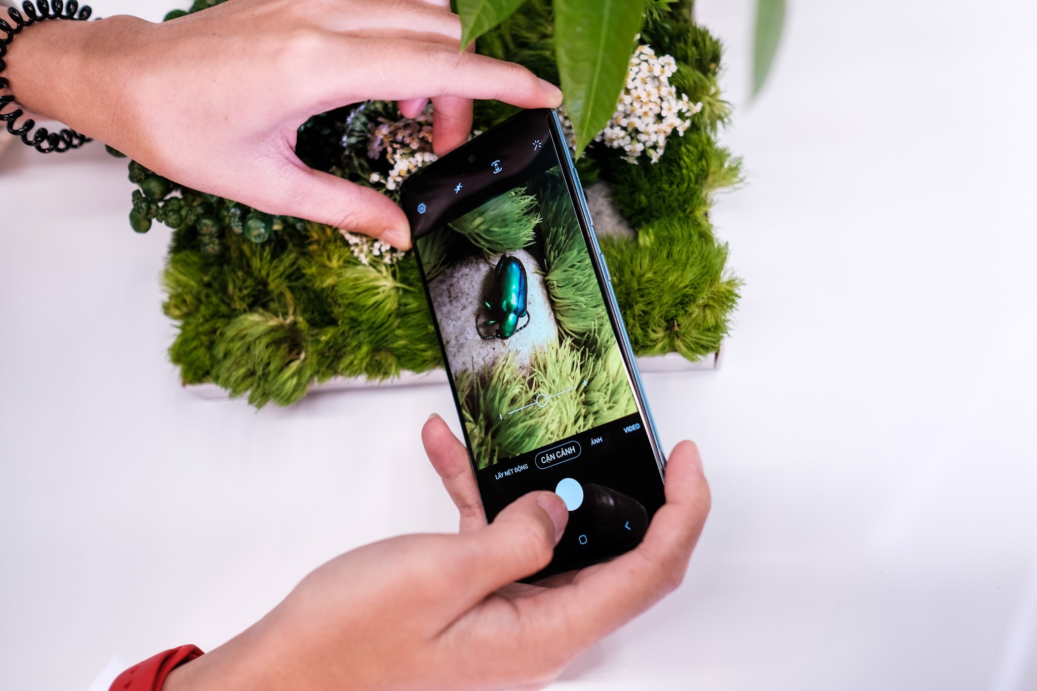 loat smartphone chup anh dep anh 2