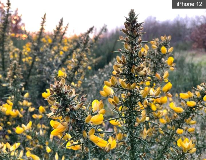 Oppo Find X3 Pro ra mắt ảnh 4 Oppo Find X3 Pro ra mat anh 4