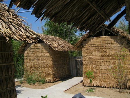 Hang loat quan san vuon o Dong Thap tiem an nguy co mai dam hinh anh