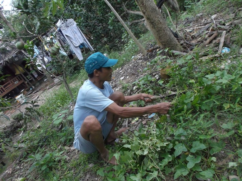 Trước đây ông Hường đã có vay vốn ủy thác từ Ngân hàng Chính sách xã hội 10 triệu đồng thông qua Hội Nông dân xã. Khi nhận vốn về, chưa kịp đầu tư sản xuất, ông Hường lại lâm trọng bệnh và số tiền này được dùng để chạy chữa thuốc men cho ông. Đến nay, tuy ông Hường đã khỏe nhưng vẫn chưa có khả năng hoàn nợ, nên Hội CCB xã không thể hỗ trợ vay vốn ưu đãi được nữa. 