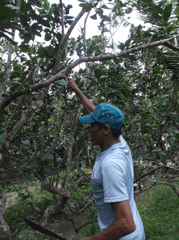 Bản thân ông thì bệnh suyễn, nay yếu mai đau. Công việc bấp bênh chỉ đi làm vườn thuê kiếm sống qua ngày. Nói về số tiền nhặt được, ông Hường kể trong lúc đi rước cháu ngoại ở trường mẫu giáo thì ông thấy cả một cọc tiền lớn nằm lăn giữa đường.  Theo bản năng, ông dừng xe lại nhặt cọc tiền lên rồi hô lớn: “Tiền của ai mất tui cho xin lại nè” nhưng không thấy ai. Ông Hường đành mang số tiền đến UBND xã An Phước và nhờ tìm chủ nhân của số tiền.