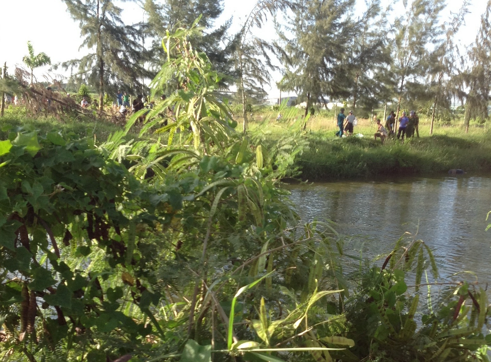 Bờ kênh nơi phát hiện thi thể đôi tình nhân.