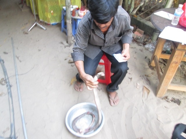 Con rắn hổ mang khiến nam học viên phải bỏ mạng.