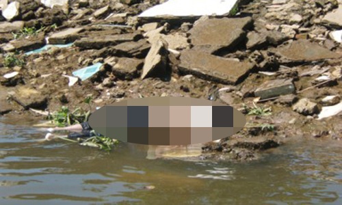 Day be ban ve so xuong ao roi nem gach trung dau tu vong hinh anh