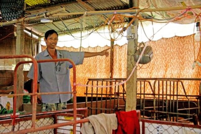 Thu tram trieu moi nam nho cho heo nghe nhac rock hinh anh