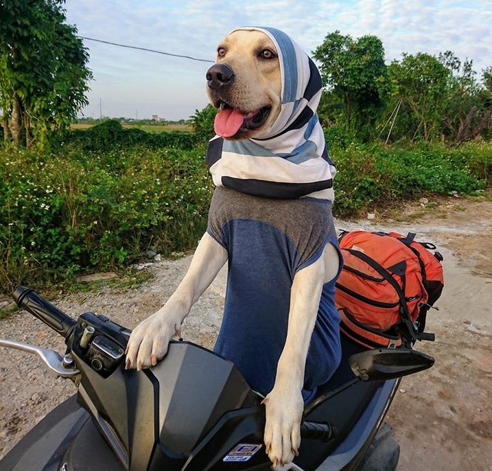 Chu cho Cu Cai don tim dan mang anh 2