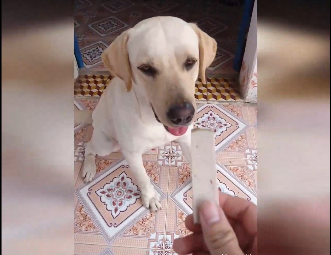 Cau chu nho cho trong ho mieng gio tam thuoc doc va cai ket hinh anh