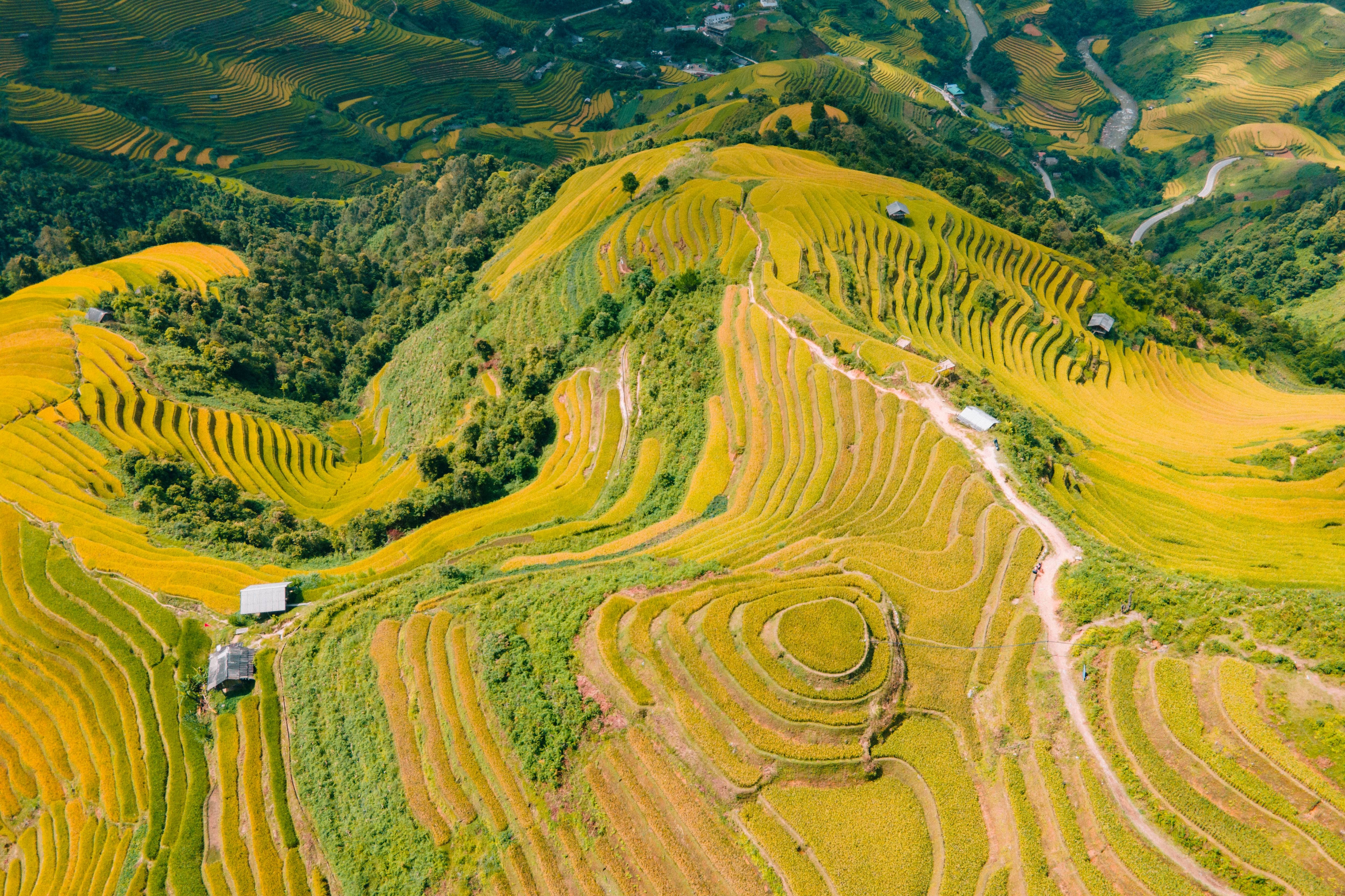 Viet Nam anh 5