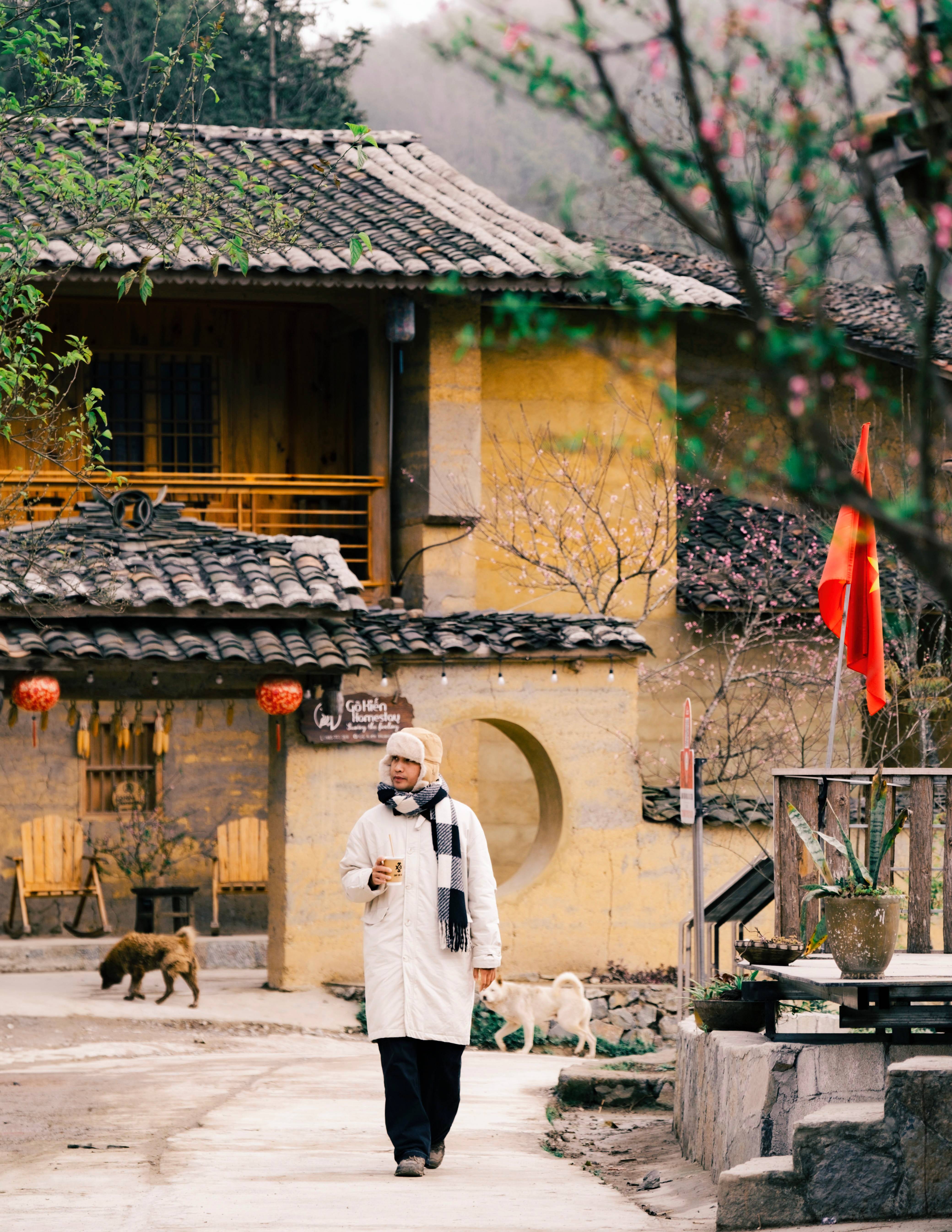 Viet Nam anh 7