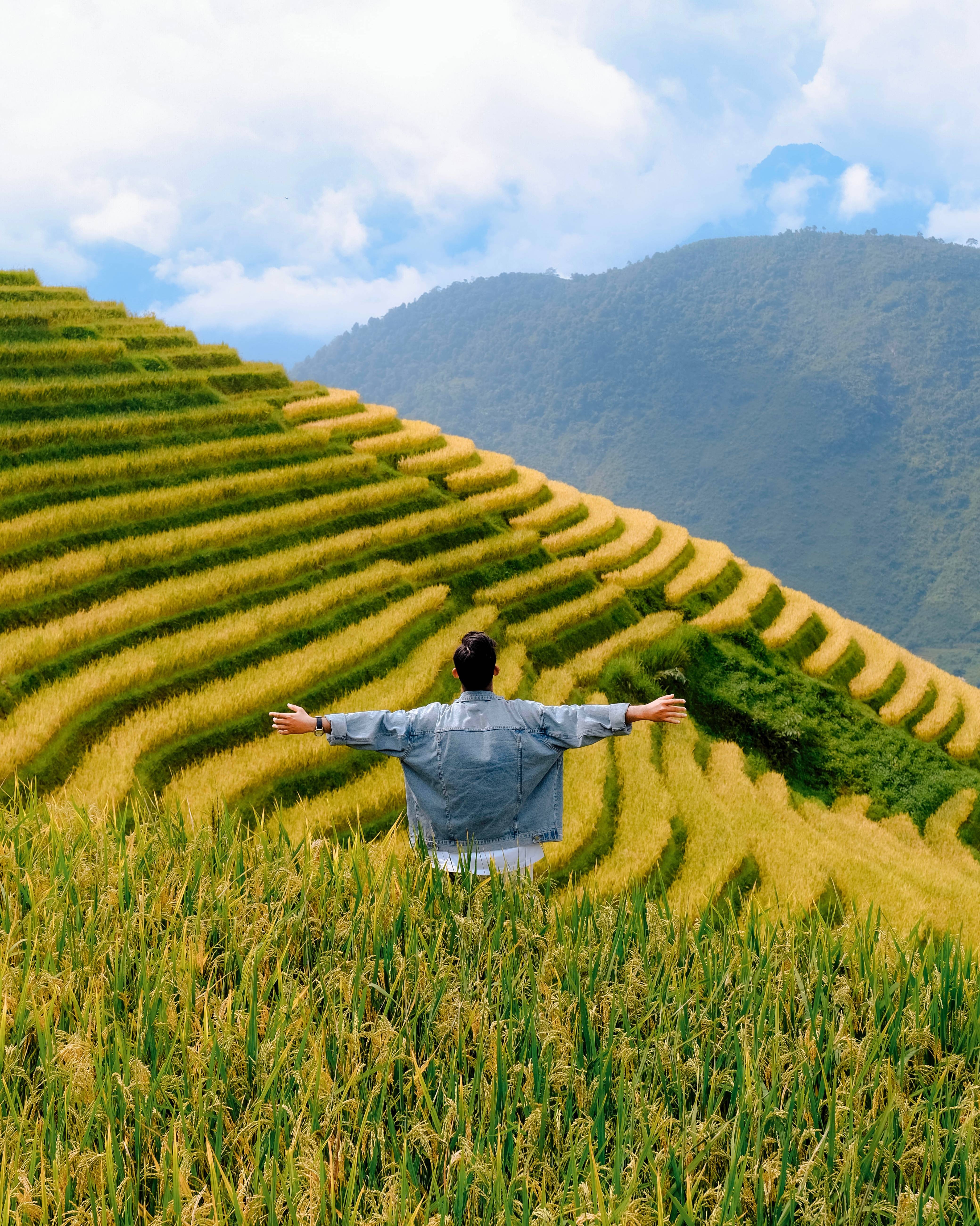 Việt Nam ảnh 11 Viet Nam anh 11