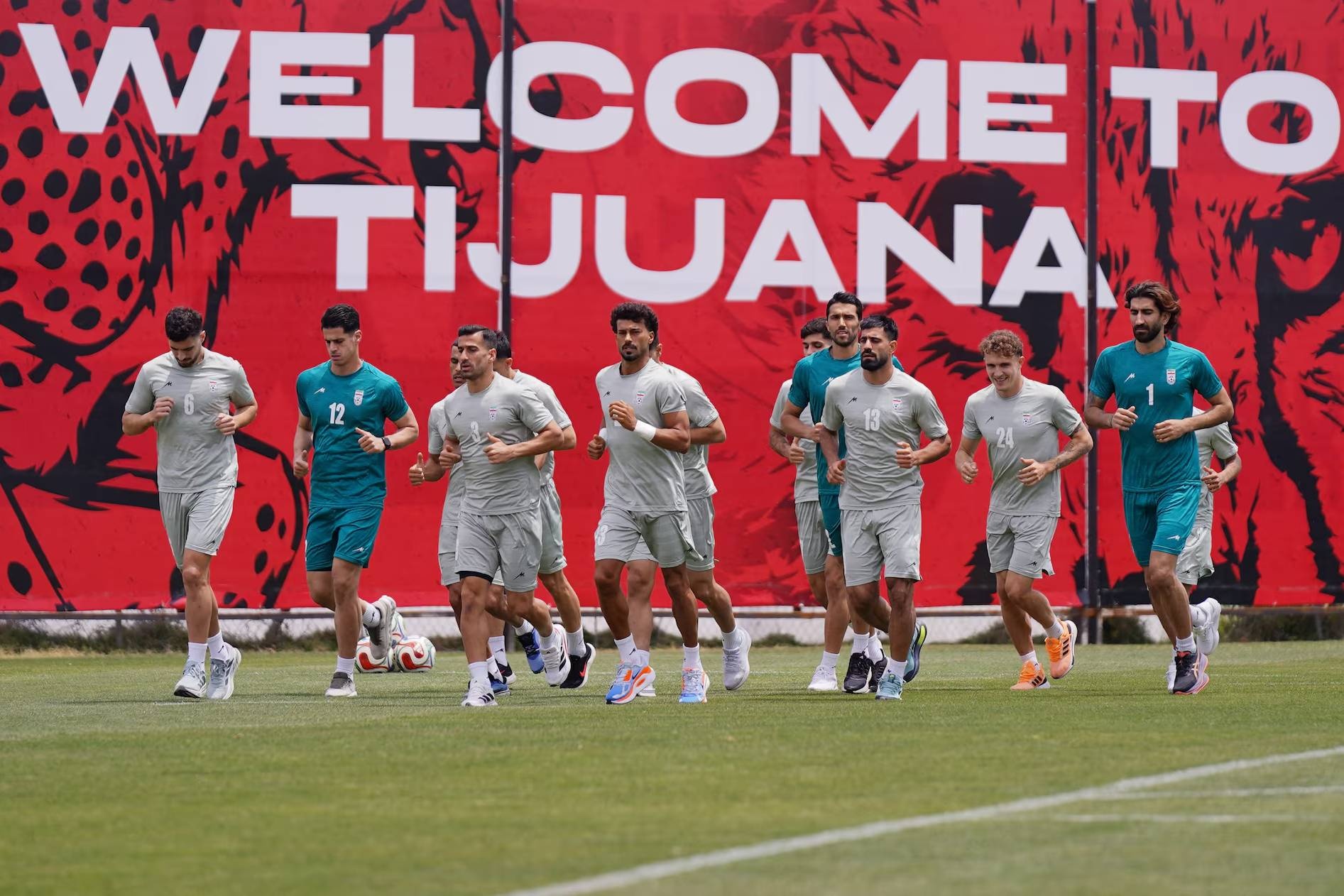 World Cup anh 3