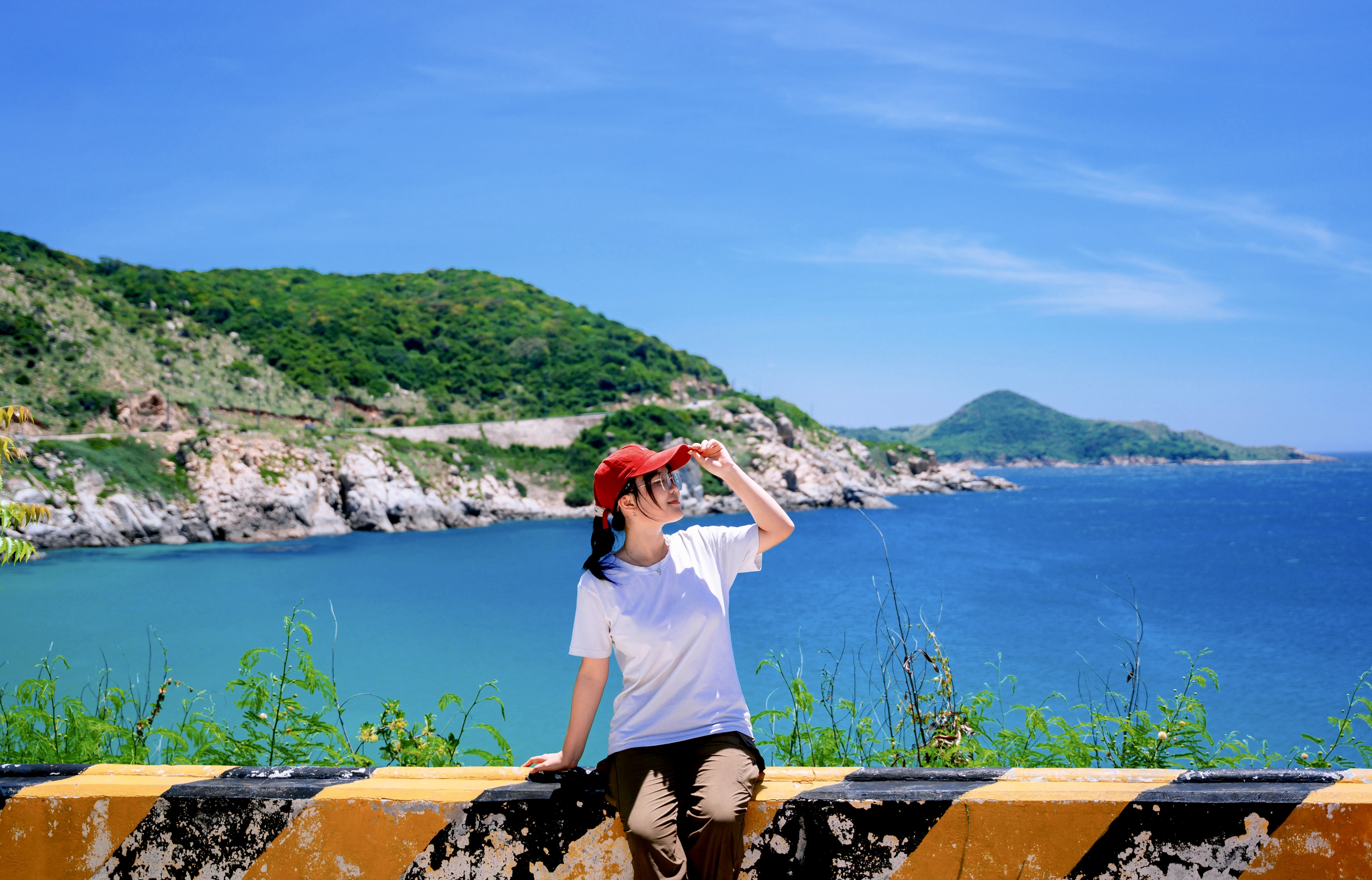 Việt Nam ảnh 2