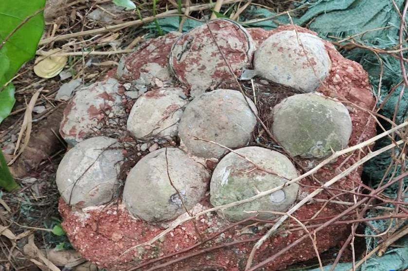 Phat hien hoa thach trung khung long giua thanh pho o Trung Quoc hinh anh