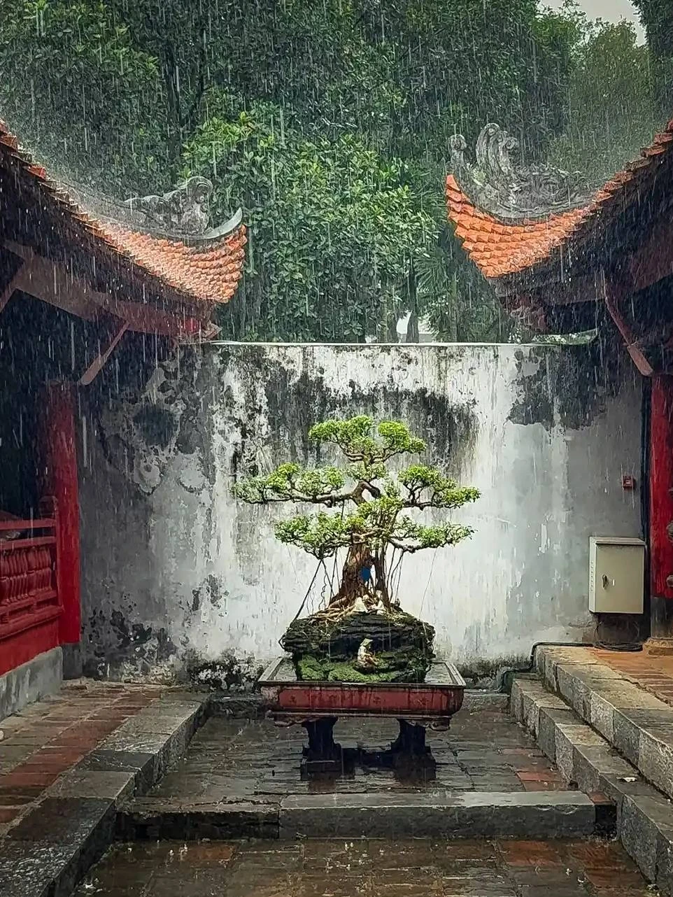 ẩm thực ảnh 3 ẩm thực ảnh 3