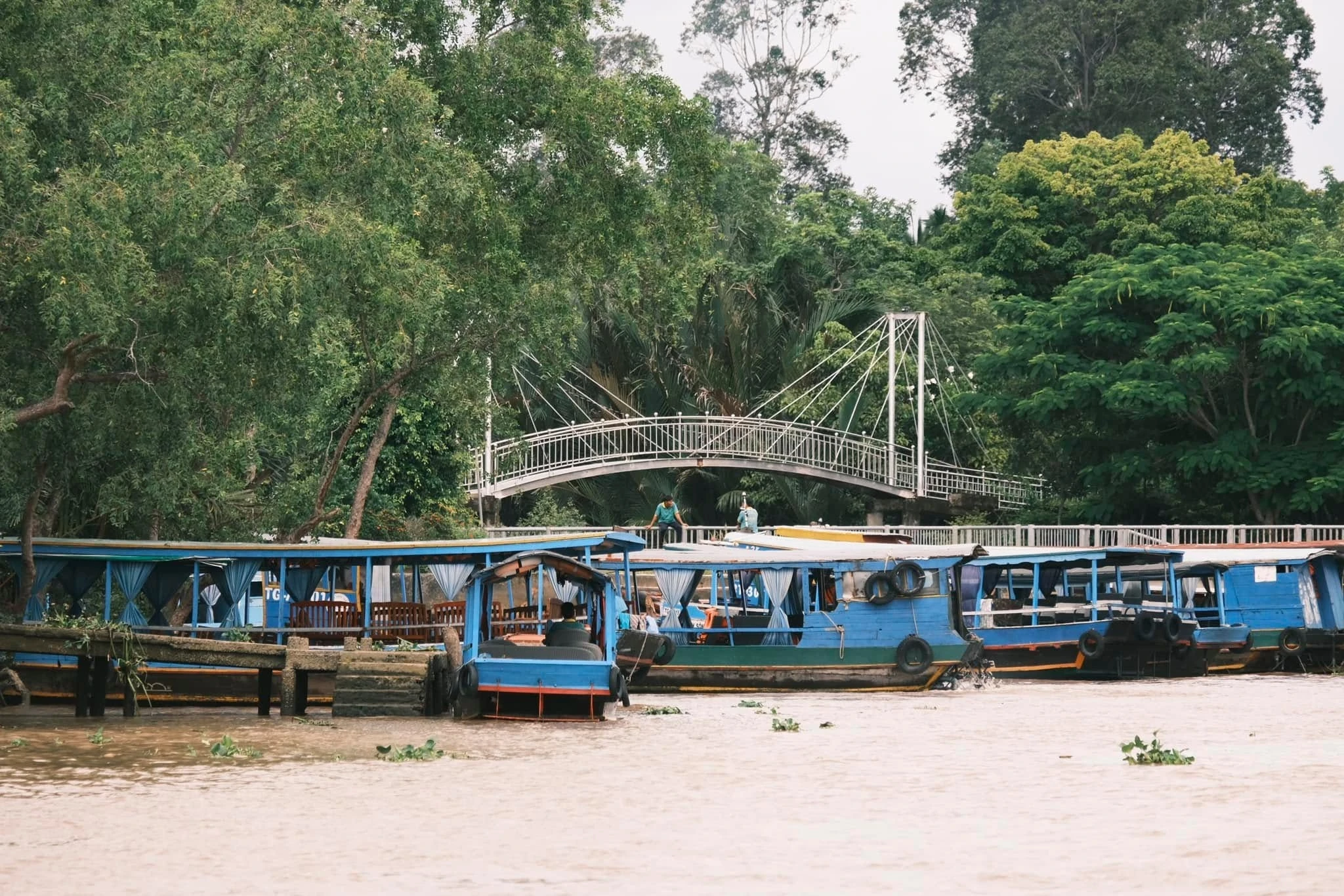 Đồng Th&aacute;p ảnh 7