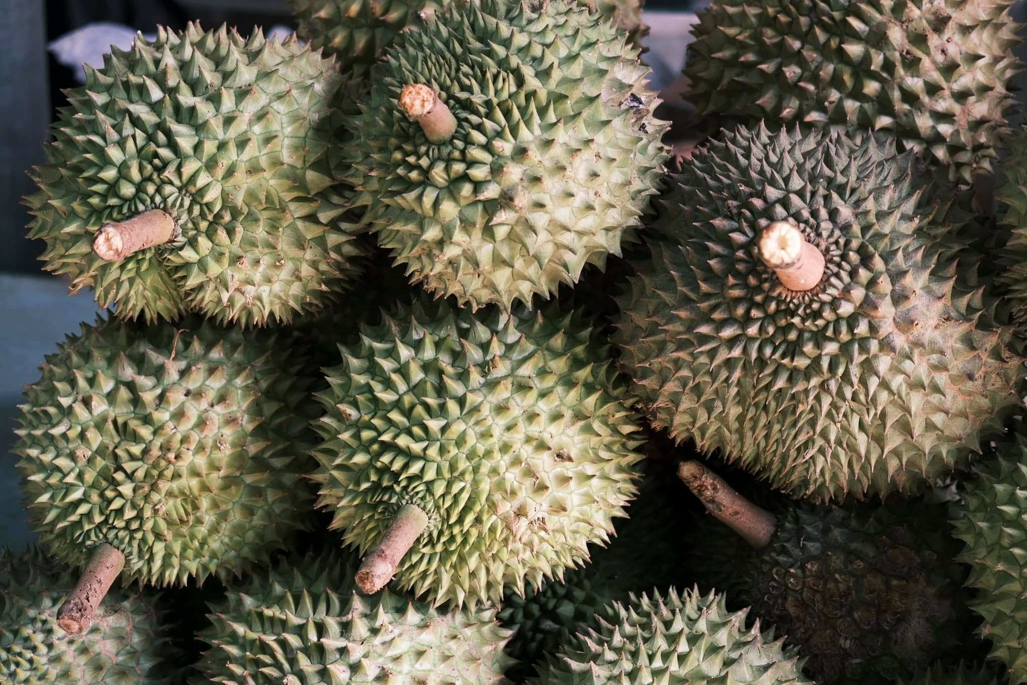 Đồng Th&aacute;p ảnh 10