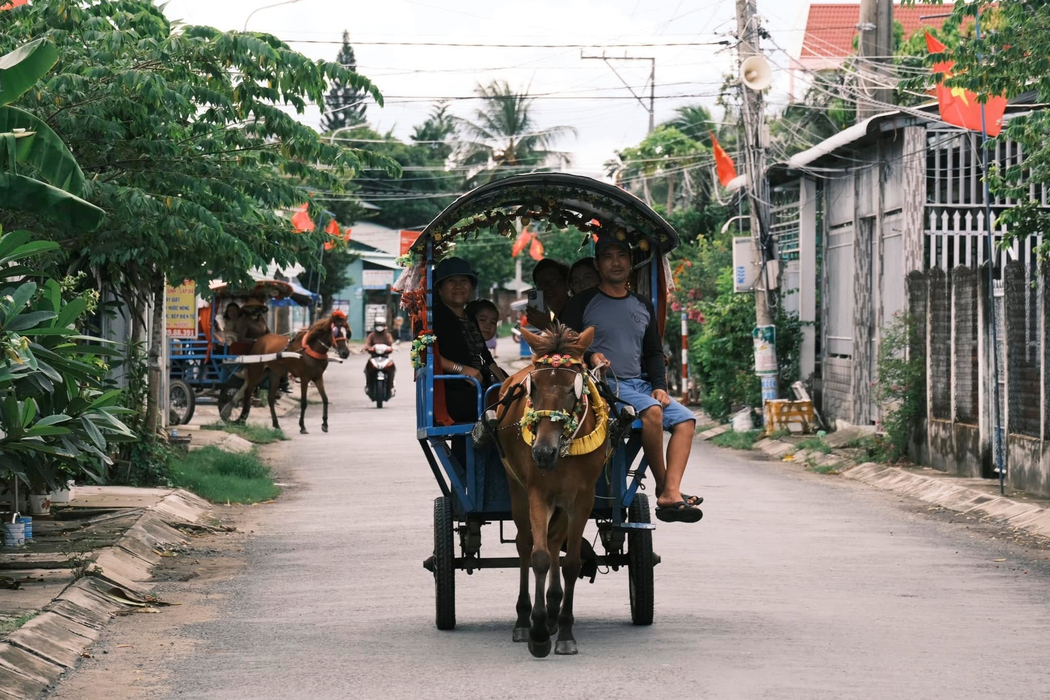 Đồng Th&aacute;p ảnh 14