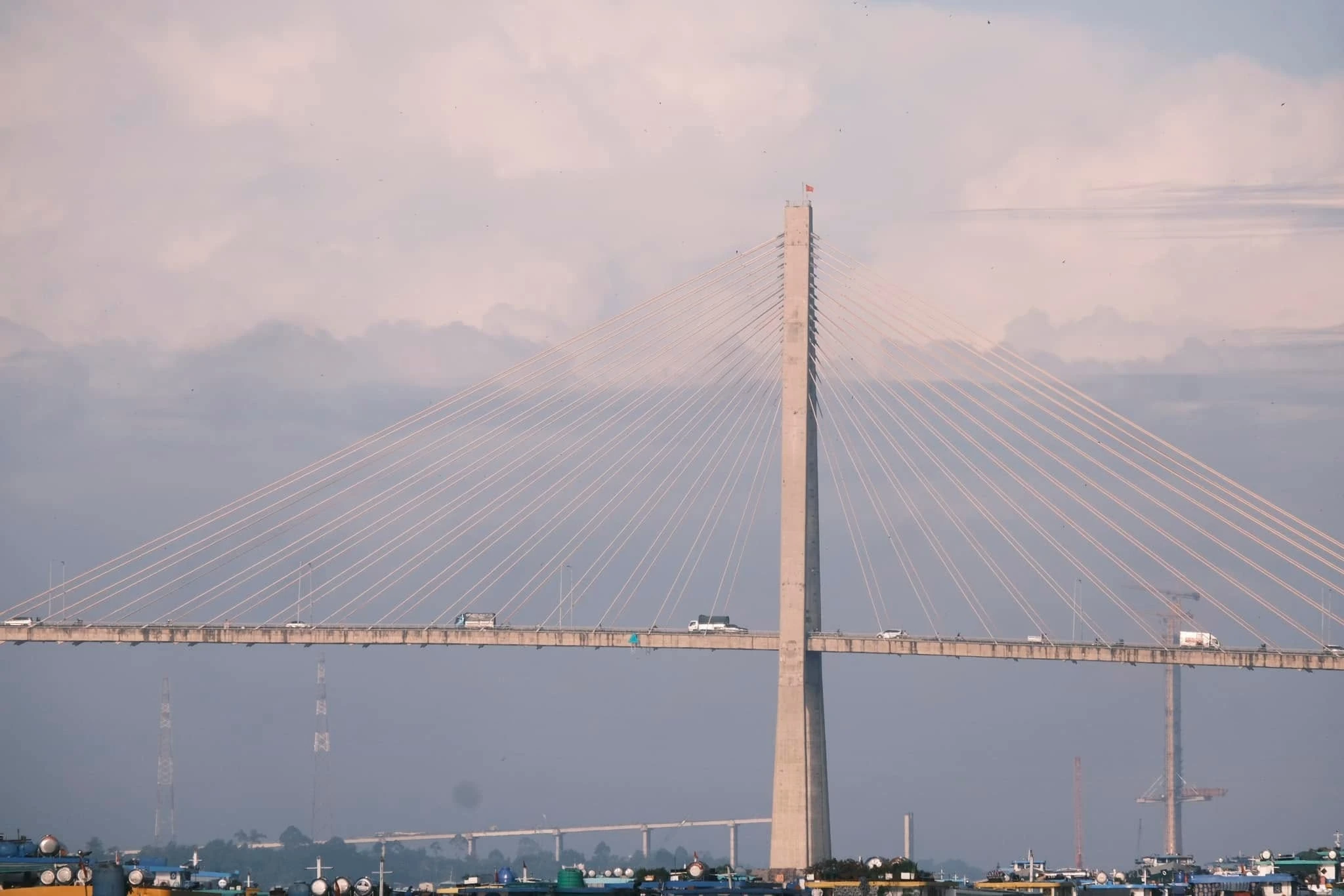 Đồng Th&aacute;p ảnh 18