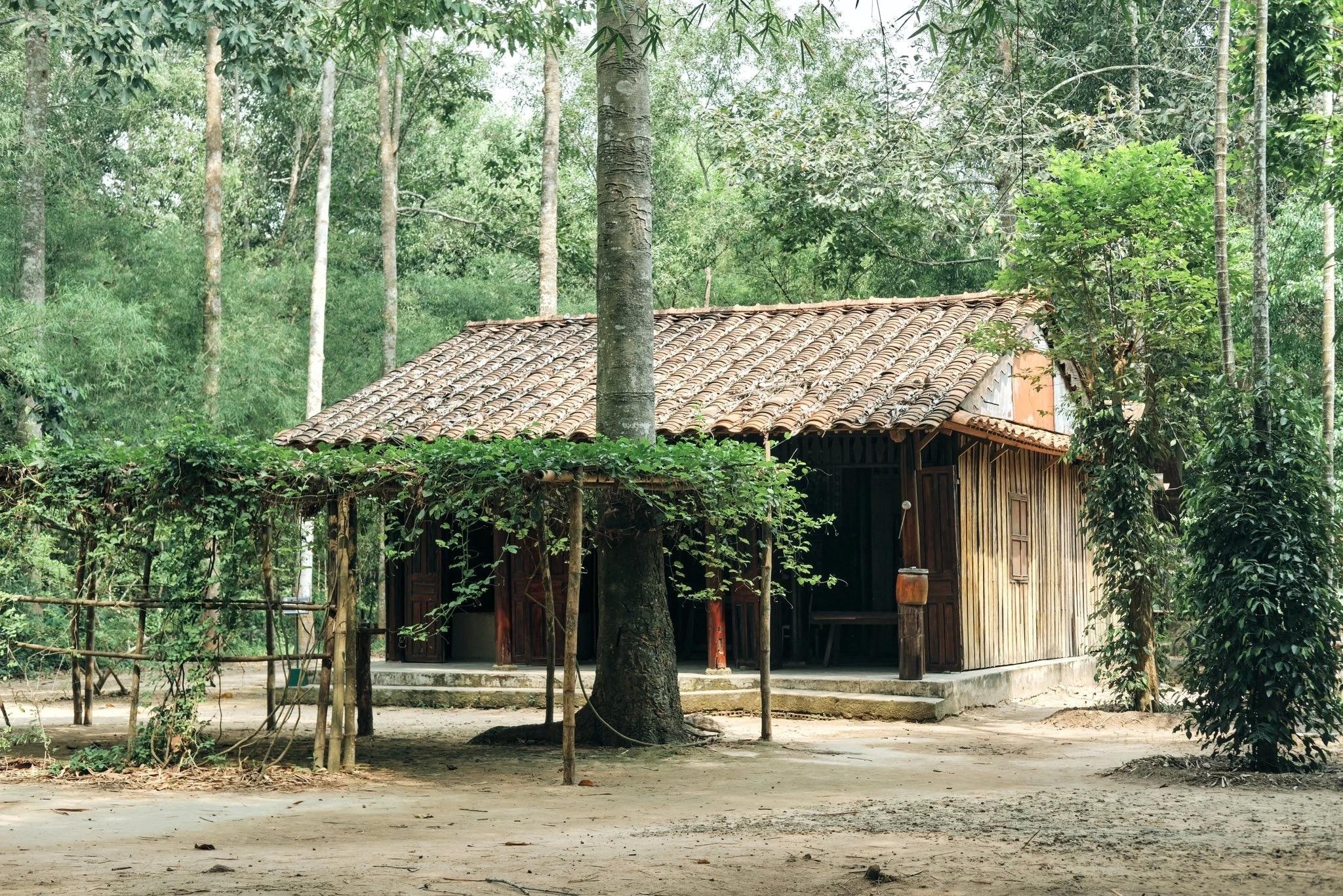 Củ Chi ảnh 5 Củ Chi ảnh 5