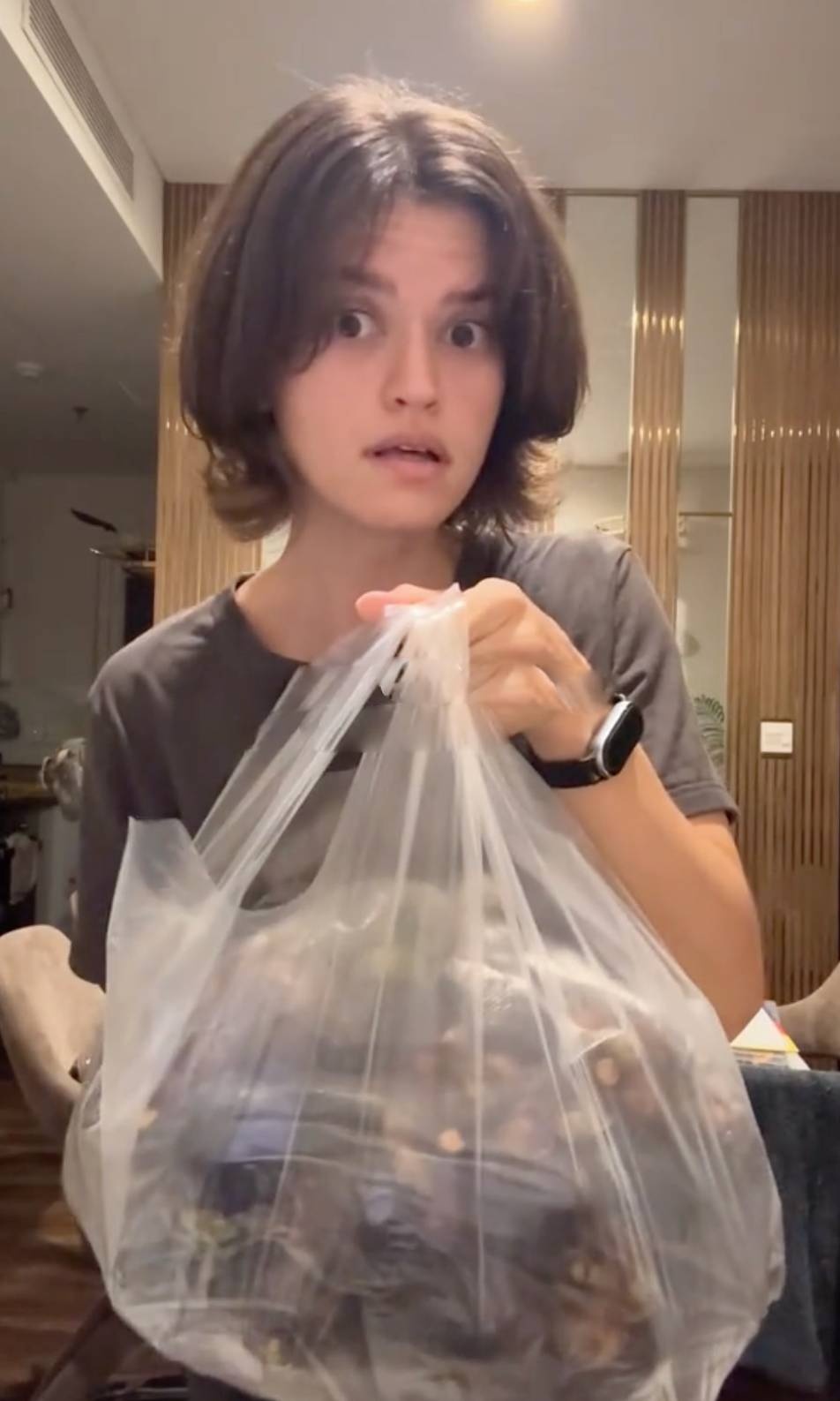 măng cụt ảnh 1 măng cụt ảnh 1