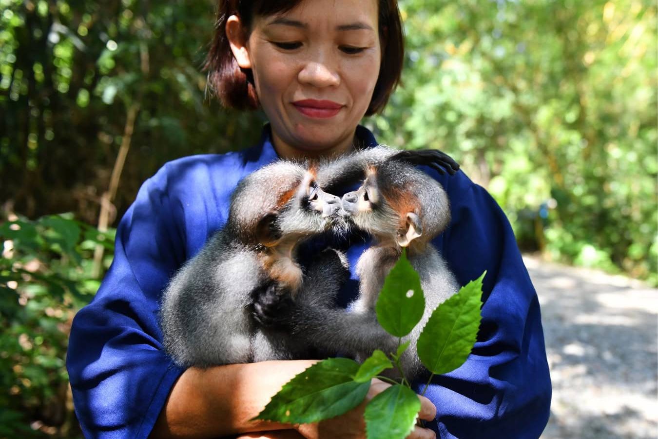 động vật ảnh 1