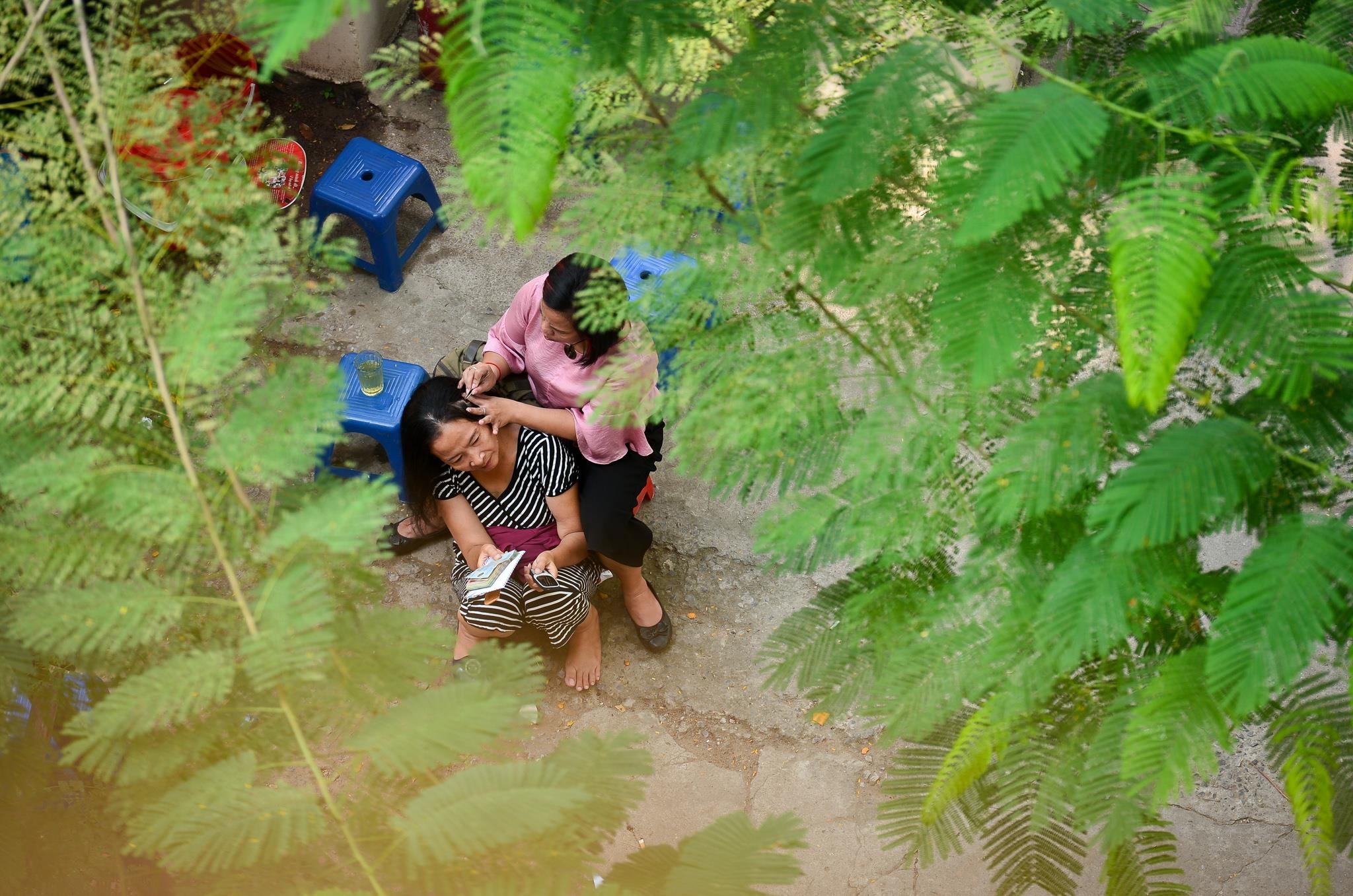 Vé chợ đen, đội tuyển Việt Nam, sân Hàng Đẫy, AFF Cup 2018 ảnh 2 Ve cho den, doi tuyen Viet Nam, san Hang Day, AFF Cup 2018 anh 2
