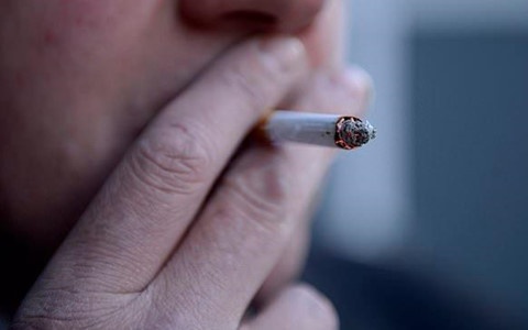 Moi gio co 5 nguoi chet vi thuoc la tai Viet Nam hinh anh