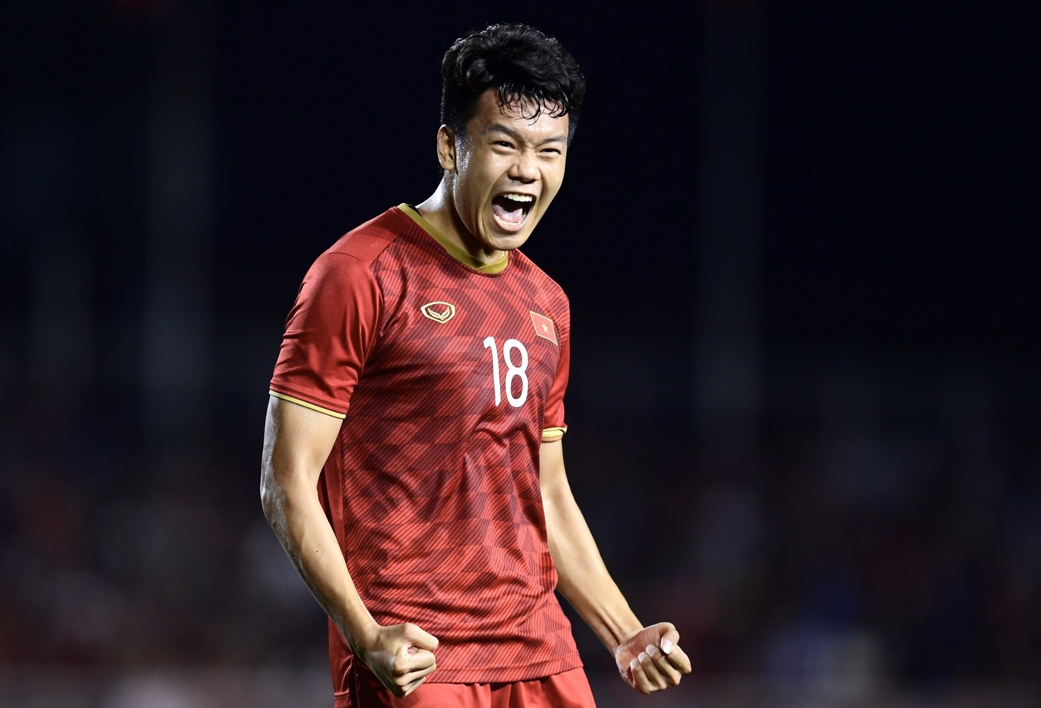 Ai thay the Duy Manh o tuyen Viet Nam? anh 2