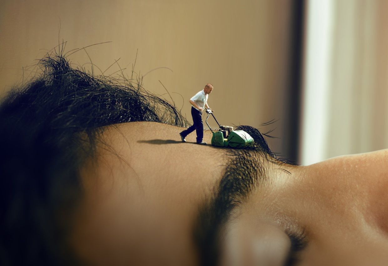 Bo anh Photoshop hai huoc cua Anil Saxema hinh anh