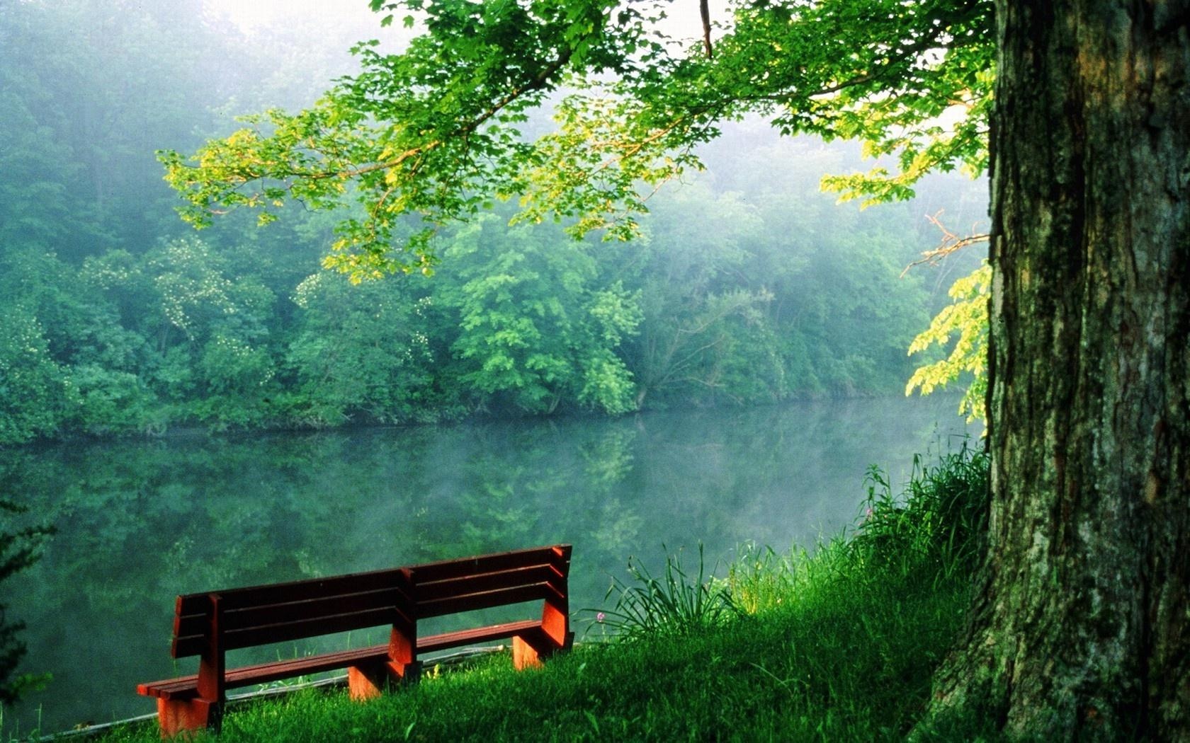 Tuan moi cua ban (13 - 19/4) hinh anh