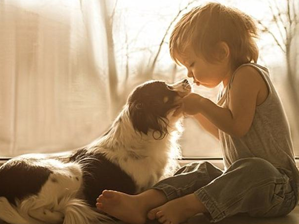 Anh nhoc ty tao dang dang yeu ben thu cung hinh anh