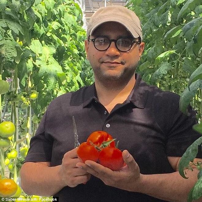 Saber, nhiếp ảnh gia nghiệp dư may mắn chụp được khoảnh khắc lãng mạn.