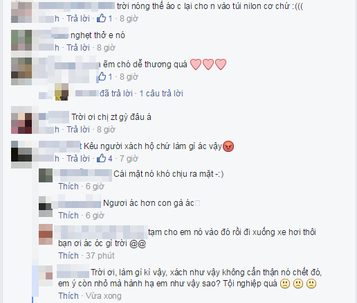 Nhiều bình luận lo ngại về an nguy của chú chó.