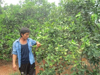 Ty phu vung doi hinh anh