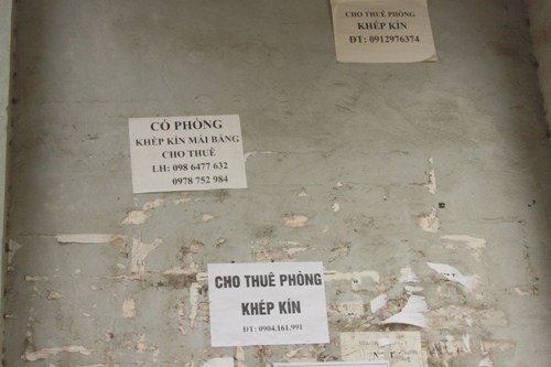 Bạn có thể dễ dàng tìm thấy thông tin phòng trọ trên các tờ rơi khắp các ngả đường.