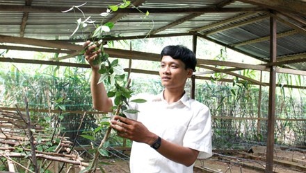 'Trum' sam ba kich hinh anh