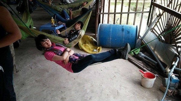 Bức ảnh ngủ trên dây của cô gái trẻ thu hút dân mạng. Ảnh:
