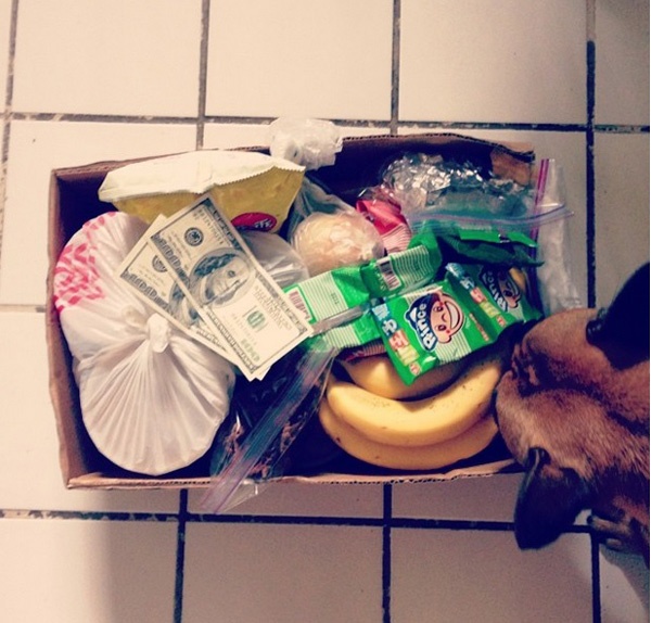 Họ luôn mồm hỏi