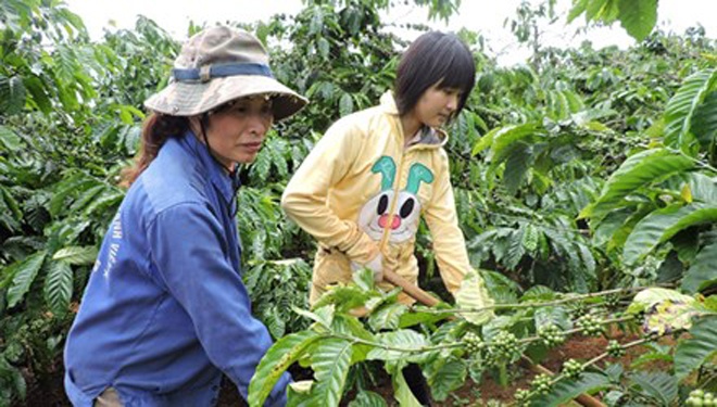 Nhược Nam giúp mẹ làm rẫy.