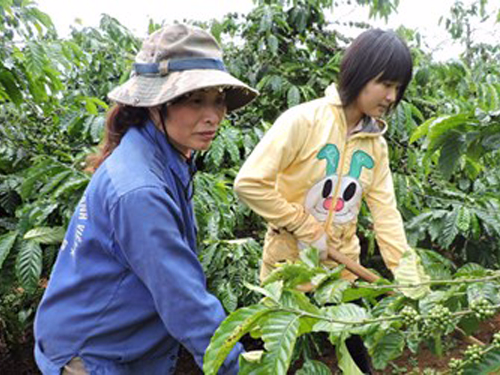 Nu sinh ngheo 10 nam lien hoc gioi hinh anh