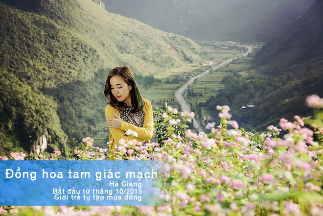 Hà Giang bất ngờ trở thành điểm đến du lịch thu hút giới trẻ nhất trong năm 2015. Lễ hội hoa tam giác mạch khai mạc vào ngày 12/11, thu hút hàng nghìn người đổ xô lên Tây Bắc để thăm quan và chụp ảnh. Ảnh: Huy Hòa.