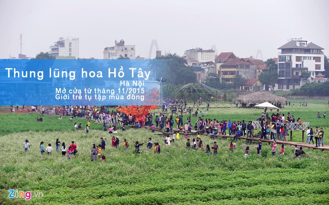Thung lũng hoa Hồ Tây bắt đầu xuất hiện từ cuối tháng 11. Sau 2 ngày mở cửa miễn phí, địa điểm này thu hút hàng nghìn người đổ về chụp ảnh gây nên tình trạng hỗn loạn. Để có được bức ảnh đẹp, nhiều người vô tư giẫm đạp hoa khiến thung lũng tan hoang, phải tạm đóng cửa để sửa chữa. Ảnh: Lê Hiếu.