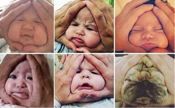 Trao luu bien mat em be thanh hinh com nam tren Instagram hinh anh