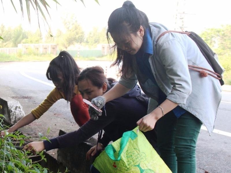 ‘Du lich nhat rac’ tren ban dao Son Tra hinh anh