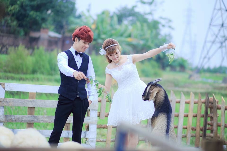 cầu hôn ở sân bay Nội Bài ảnh 3 cau hon o san bay Noi Bai anh 3