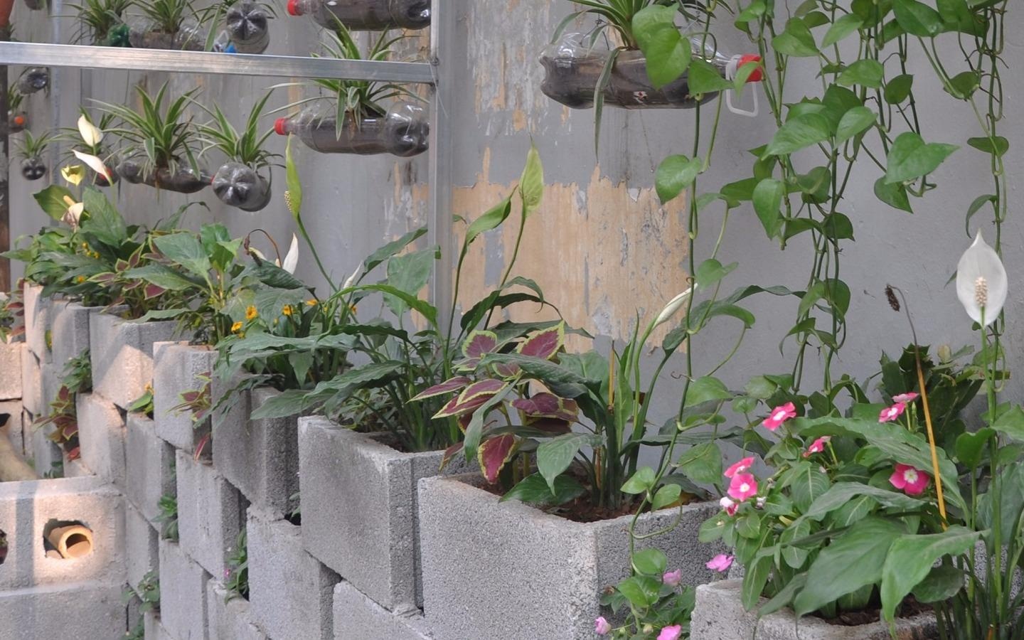 Nhom ban tre Ha Noi bien bai rac thanh vuon hoa hinh anh