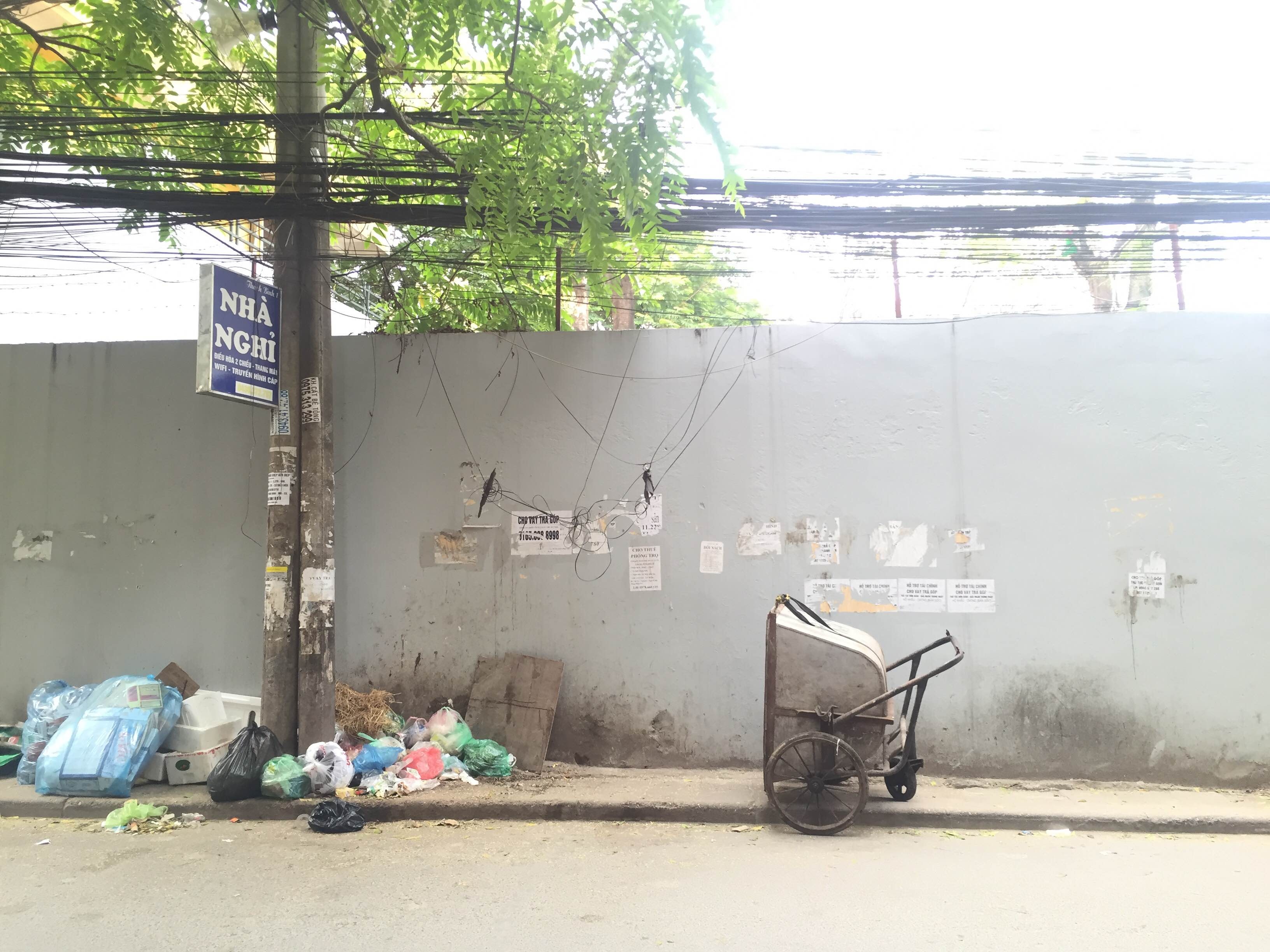 bien bai rac thanh vuon hoa anh 2