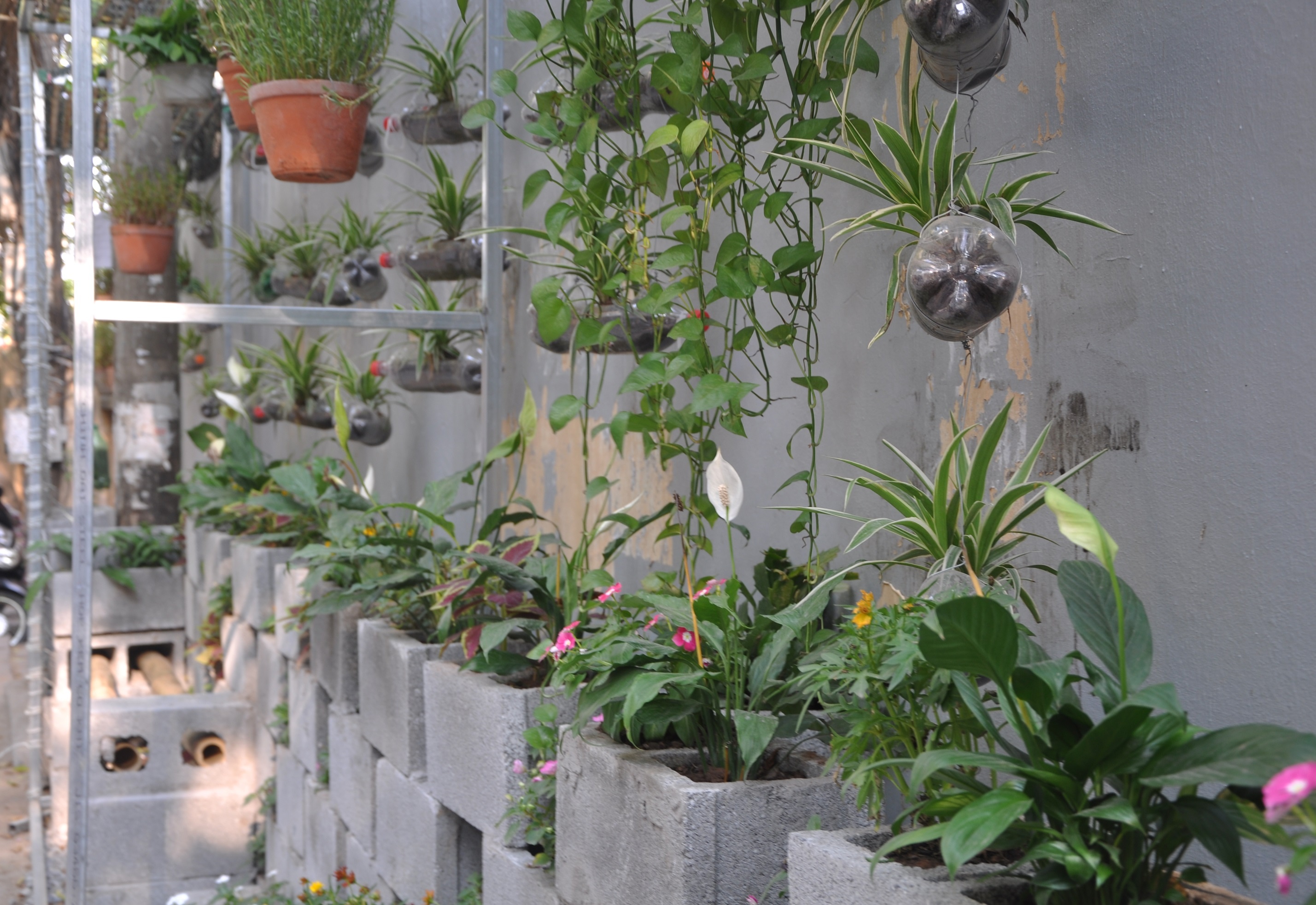 bien bai rac thanh vuon hoa anh 1