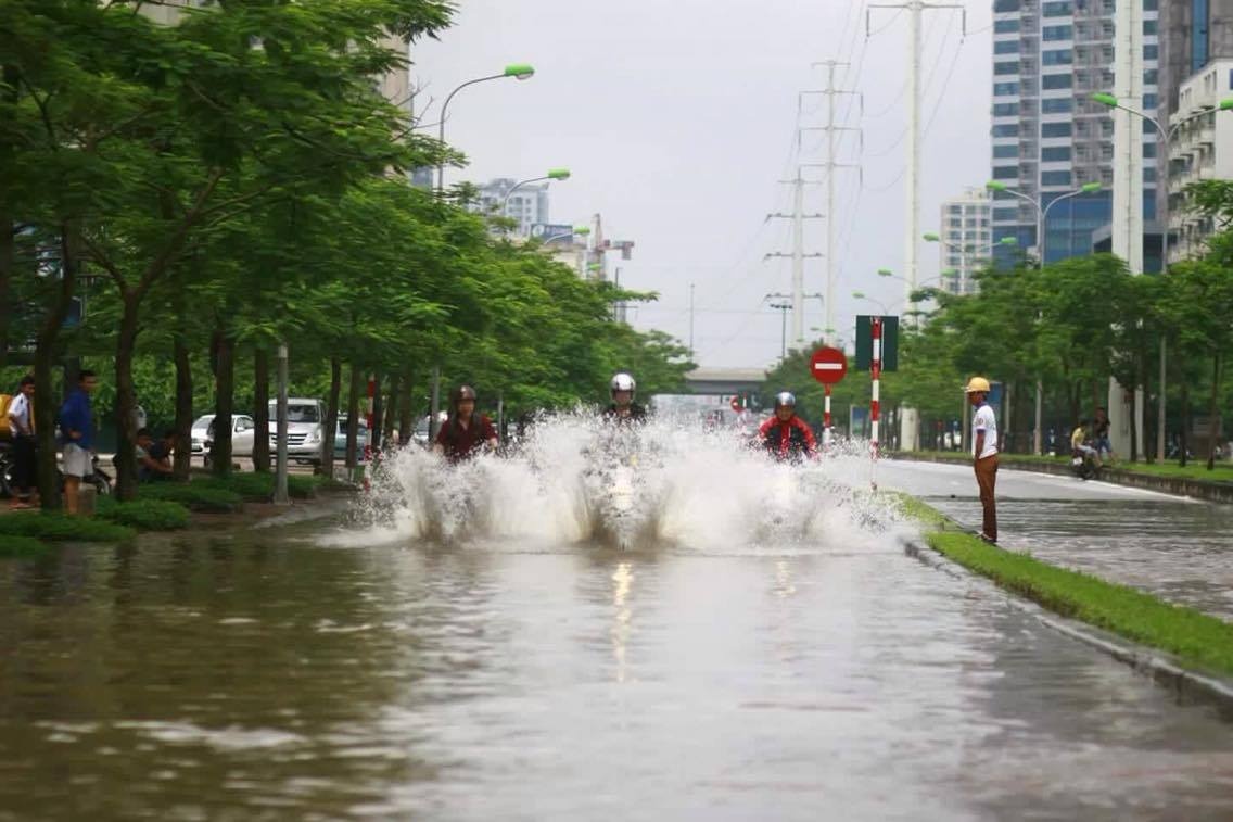 su that man te nuoc bang mo to anh 1