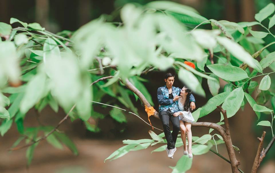 Bộ ảnh cưới thành người tí hon ảnh 1 Bo anh cuoi thanh nguoi ti hon anh 1